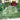 Clear table number 6 with floral designs on a green tablecloth