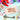 Father Christmas' Magic Key